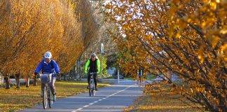 biking to work