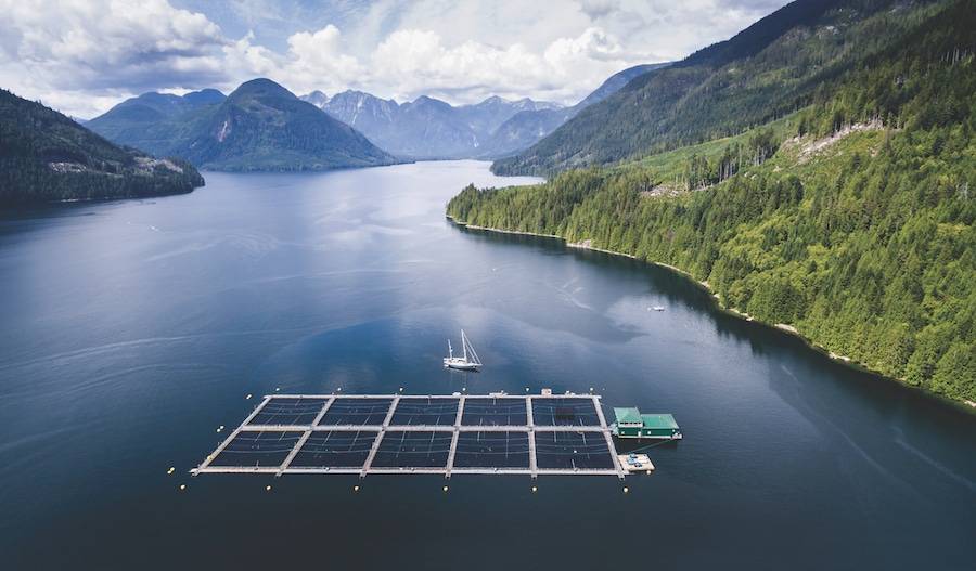 Atlantic deals salmon farming