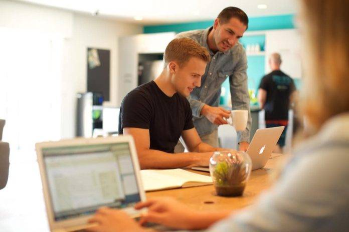 employees working at laptops