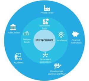 A visual representation of an innovation ecosystem. Various entities and actors are involved in nurturing the environment where the innovator or entrepreneur can move from ideation to strategy to testing/validation and into reality. (Source: UNDP).